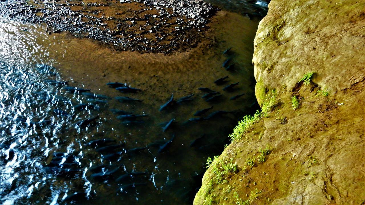 Riverside Ban Cho Lae Zewnętrze zdjęcie